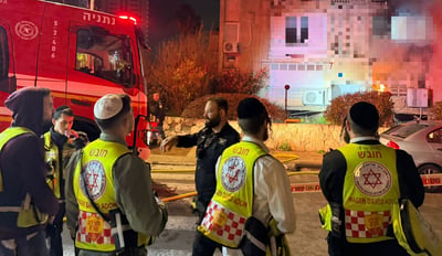 הכוחות בזירה