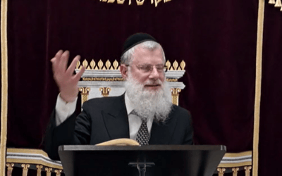 ממה היתה עשויה הבטרייה של החושן שלבש הכהן הגדול? | צפו
