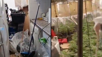 השוטרים היו בהלם: מפעל שלם התגלה במהלך חיפוש בדירה חשודה | צפו 