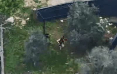 צפו: המחבלים מתגנבים בין העצים - בזמן שצה"ל עוקב אחריהם מלמעלה