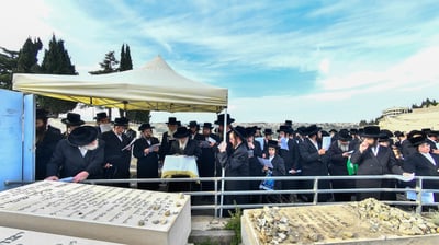 הילולא קדישא בפינסק קארלין
