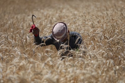 מהפך במזג האוויר: השינוי שיורגש היטב בסוף השבוע - ומה יקרה בשבת?
