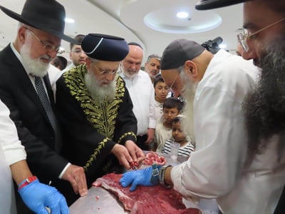 כנס ניקור באשדוד
