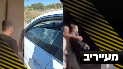 קטטות, תאונות ופצועים: מעל הכל ההכרזה הנצחית - בדרך התורה נלך | מעייריב