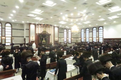 שבת התאחדות לאברכי נדבורנה במודיעין עילית