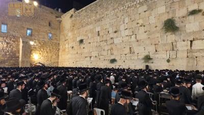 חסידי ויז'ניץ בכותל