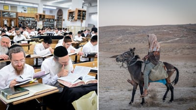 מתיישב ביהודה ושומרון, עמלי התורה