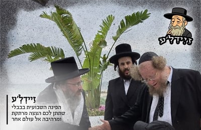 'קדיש' על הסנאטור | 'זיידל'ע' עם כל הנייעס והחשיפות של השבוע