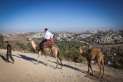 בין הזמנים והשקעות בנדל"ן: מדוע חופשה עלולה להטעות משקיעים