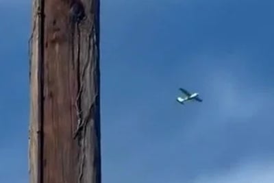 מטוסי קרב הוזנקו לאחר חדירה למרחב האווירי של נשיא ארה"ב