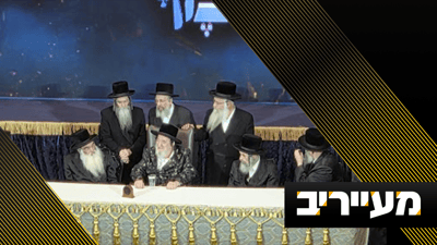 מול האדמו"ר ואלפי חסידים: מצגת כלא 10 | מעייריב