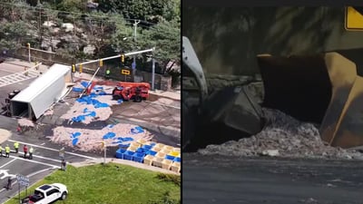 משאית עמוסה בדיונונים התהפכה: כך זה נראה