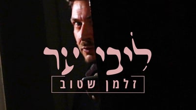 זלמן שטוב בסינגל חדש 'ליבי ער' 