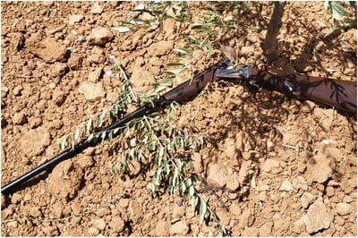 רובה ציד ותחמושת נתפסו מתחת לעץ זית בחברון; ארבעה חשודים נעצרו