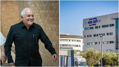 "שחיתות ודיקטטורה": גילה גמליאל הגישה תלונה נגד בכירי הליכוד