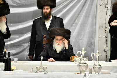 האדמו"ר ממכנובקא בעלזא