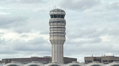 קולות חתול וכלב בתדר טיסה: רשות התעופה פתחה בחקירה