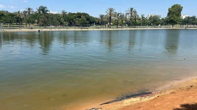 ילד בן 6 חולץ ממי אגם בתל אביב במצב קשה; אזרחית אתרה אותו