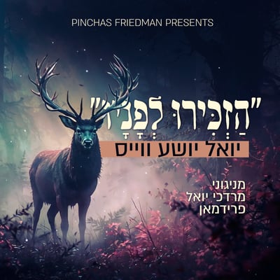 הזמר יואל יושע ווייס בסינגל חדש לאלול: 'הזכירו לפניו'