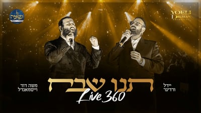 משה דוד וייסמאנדל ויידל ורדיגר בקליפ חדש: 'תנו שבח'