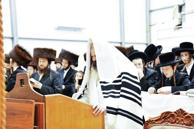 סליחות בחצה"ק זוטשקא