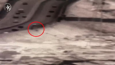 תיעוד: עשרה פלסטינים חצו את הגדר – כך נעצרו במיניבוס