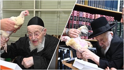 מרן הגאון רבי מאיר צבי ברגמן שליט"א ומרן הגאון רבי ברוך דב פוברסקי שליט"א במנהג כפרות | צילום: שוקי לרר