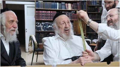 "חיבוב המצווה נשאר כמו כל השנים" | תיעוד מבדיקת הלולבים