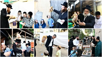 מנהג כפרות בבני ברק