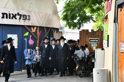 האדמו"ר ממודז'יץ בתשליך | צילום: שוקי לרר