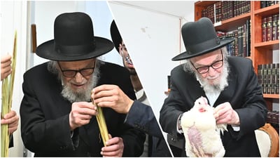 ראש ישיבת סלבודקה ערך כפרות ובדק לולבים בחדר הספרים