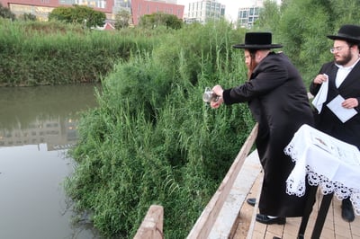 האדמו"ר ממיאלען שליט"א בתשליך | צילום: י. פריד