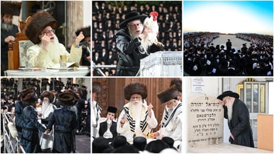 תשרי בצל האדמו"ר מצאנז | צילום: משה גולדשטיין