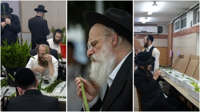 בבני ברק ובירושלים: כך נערכים לחג הסוכות | גלריה