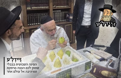 שריפה בירושלים: דירת היועץ החרדי נפגעה | 'זיידל'ע' עם כל הנייעס