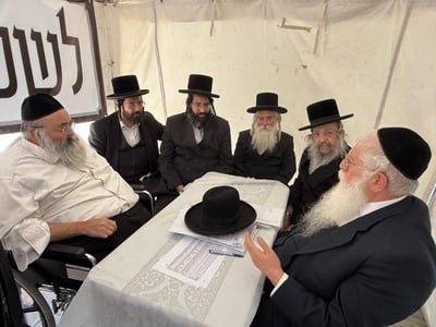 הזדכך בייסורים: איש החסד הרב החסיד דוד יהודה גרינוולד זצ"ל 