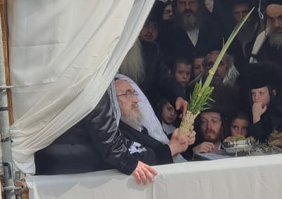 האדמו"ר מויז'ניץ שליט"א בנענועי ארבעת המינים בחול המועד סוכות