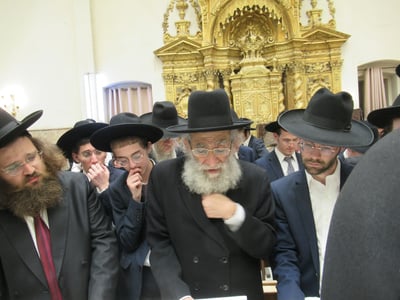 הגר"ש מרקוביץ' שליט"א