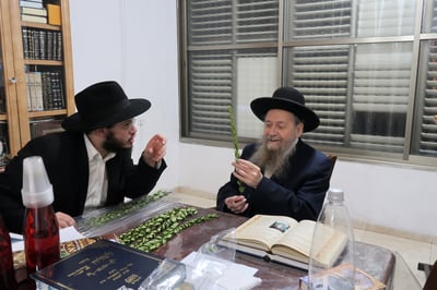 הגר"ד בצרי זצ"ל בבדיקת הדסים לסוכות תשפ"ז | צילום: י. פריד