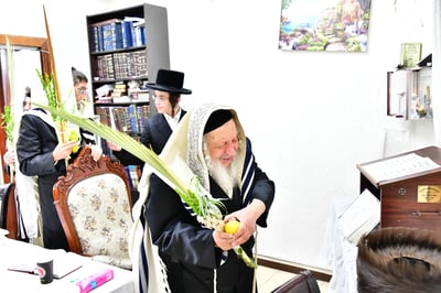 האדמו"ר מנאראל שליט"א בעבודת הנענועים | צילום: שוקי לרר