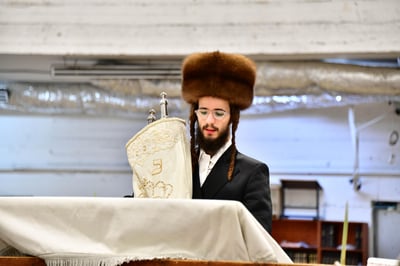 האדמו"ר ממחנובקא בעלזא שליט"א בנטילת לולב