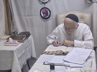 חול המועד סוכות אצל הגאון רבי בנימין דוד אלישיב שליט"א | צילום: באדיבות המצלם