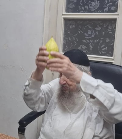 הקפדה נדירה: הרב לנדו קנה אתרוג בשבת למען בחורים מארה"ב