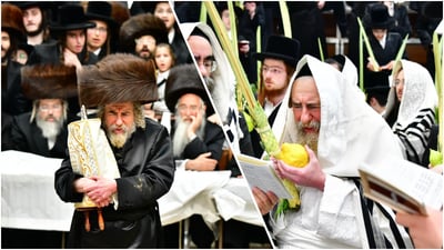 בדבקות עליונה: הושענא רבה והקפות שניות אצל האדמו"ר מרחמסטריווקא