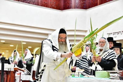 הושענא רבה בחצר הקודש טולנא
