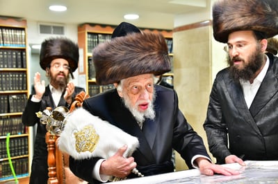 הקפות שניות בחצר קופיטשניץ | צילום: שוקי לרר