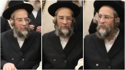 הגאון רבי יצחק זאב סולובייצ'יק שליט"א