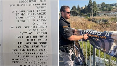תלישת שלטי בחירות - והקנס שיוטל