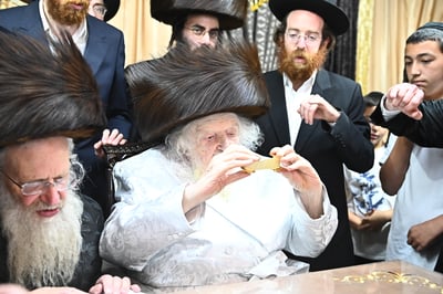 הגאון רבי משה שטרנבוך שליט"א בקבלת ספר התורה הזעיר | צילום: שוקי לרר