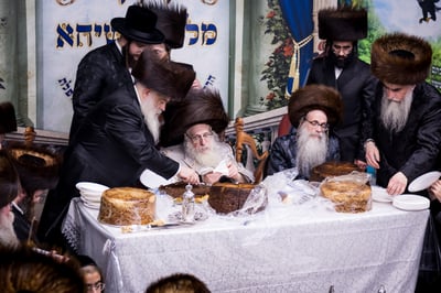 ירח האיתנים בחצר הקודש צאנז קלויזנבורג | צילום: אחים לאנטשעווסקי